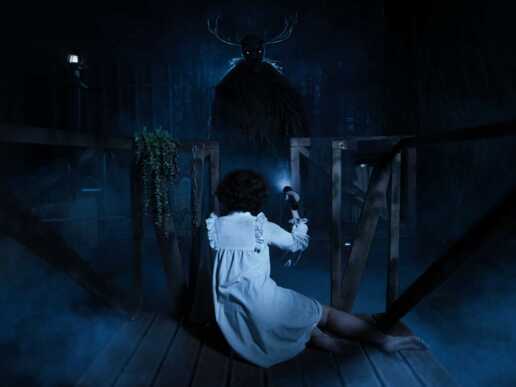 Перформанс Топь